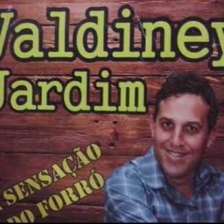 Foto da capa: Valdiney Jardim vol.05