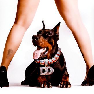 Foto da capa: Estilo Cachorro