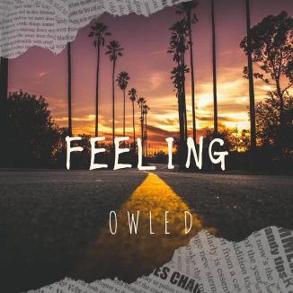 Foto da capa: Feeling