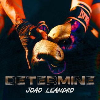 Foto da capa: Determine