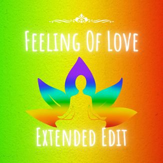 Foto da capa: Feeling Of Love Extended Edit