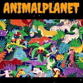 Foto da capa: Animal Planet