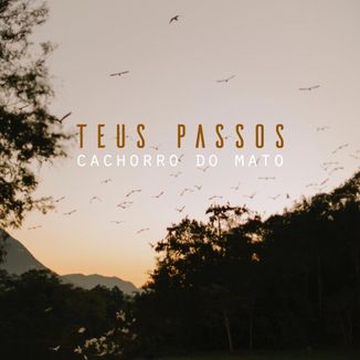 Foto da capa: Teus Passos