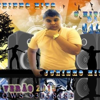 Foto da capa: (cd promocional 2015) juninho hits