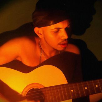 Foto da capa: Pardal