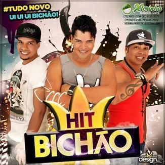 Foto da capa: HIT BICHÃO 2014