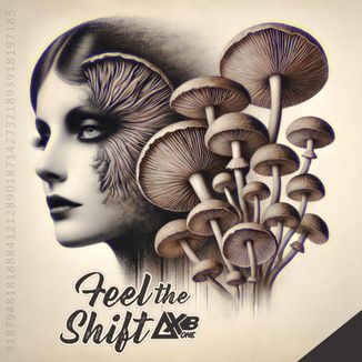 Foto da capa: Feel The Shift