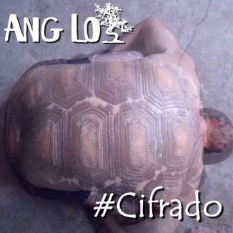 Foto da capa: #Cifrado