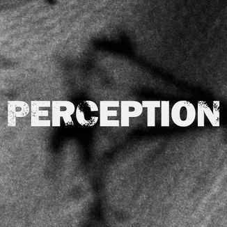 Foto da capa: Perception