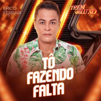 Foto da capa: Tô Fazendo Falta - Érico Ferrari e Banda Trem De Luxo