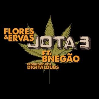Foto da capa: Flores & Ervas - Jota 3 feat. BNegão