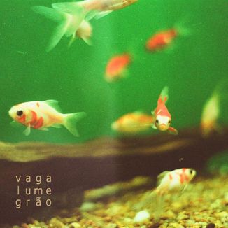 Foto da capa: vaga-lume-grão