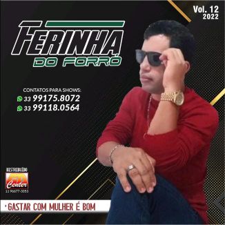 Foto da capa: Ferinha Do Forró Vol-12