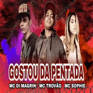 Foto da capa: Gostou da Pentada - MC Di Magrin - MC Trovão - MC Sophie