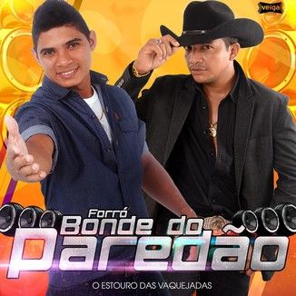 Foto da capa: CD FORRÓ BONDE DO PAREDÃO VOL.1 -  "Aceita que doi menos"