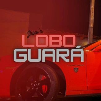 Foto da capa: Lobo Guará