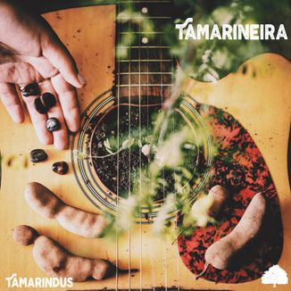 Foto da capa: Tamarineira