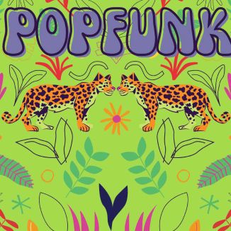 Foto da capa: Série Popfunk