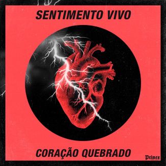 Foto da capa: SENTIMENTO VIVO & CORAÇÃO QUEBRADO V.R.Prince