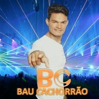 Foto da capa: BC - BAU CACHORRÃO