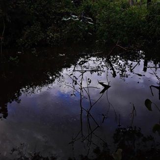 Foto da capa: Versos Que Fiz Na Madrugada Pensando Em Você- Single