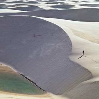 Foto da capa: nó de amor