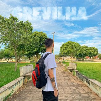 Foto da capa: Grevilha