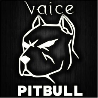 Foto da capa: Pitbull