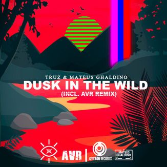 Foto da capa: Dusk In The Wild (Incl. Avr Remix)
