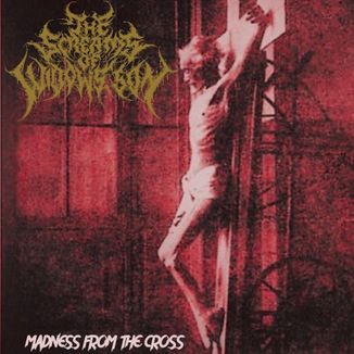 Foto da capa: Madness from the cross (single)