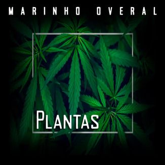 Foto da capa: Plantas