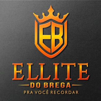 Foto da capa: Banda ELITE DO BREGA