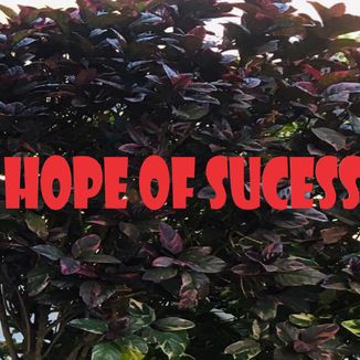 Foto da capa: Hope of sucess