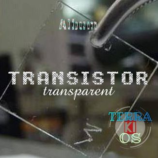 Foto da capa: Transistor Transparent