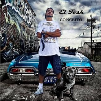 Foto da capa: Conceito