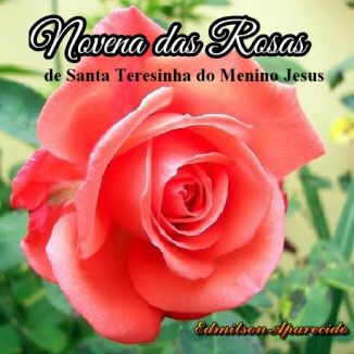 Foto da capa: Novena das Rosas Santa Teresinha Do Menino Jesus