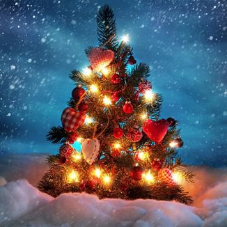 Foto da capa: Exultação - O Natal Chegou