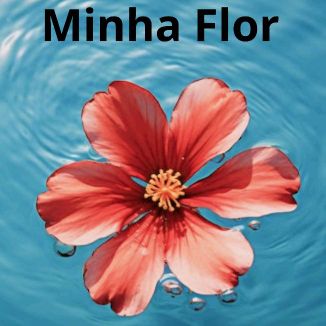 Foto da capa: Minha Flor