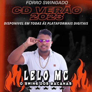 Foto da capa: CD LELO MC VERÃO 2023 ATUALIZADO