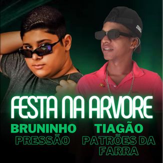 Foto da capa: FESTA NA ÁRVORE