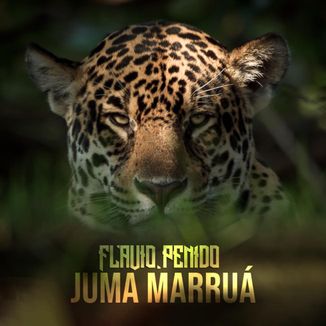 Foto da capa: Juma Marruá