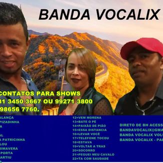 Foto da capa: banda vocalix vlo 4