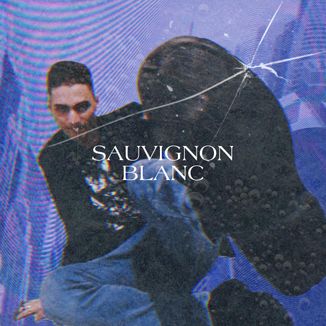 Foto da capa: Sauvignon Blanc