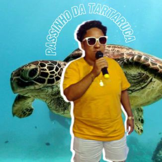 Foto da capa: Passinho Da Tartaruga