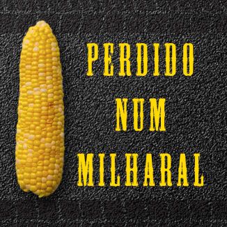 Foto da capa: Perdido Num Milharal (Parody Of "Juntos e Shallow Now" by Paul Fernandes, Luan Santana)