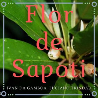 Foto da capa: Flor de Sapoti