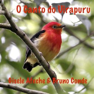 Foto da capa: O Canto do Uirapuru