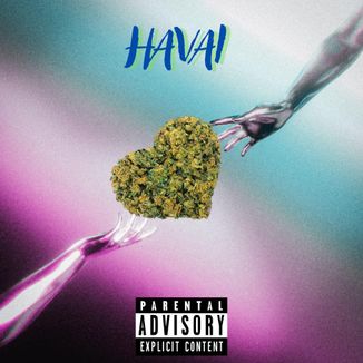 Foto da capa: Havai (Slowed + Reverb)