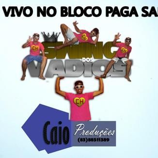 Foto da capa: Ao vivo no Bloco Paga Sapo