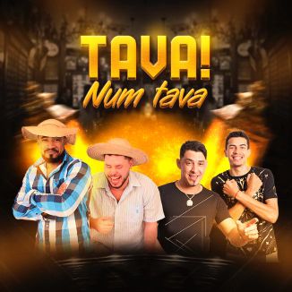 Foto da capa: Tava! Num Tava - Pagando Mico, Forró + Tóys